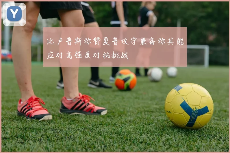 比卢普斯称赞夏普攻守兼备称其能应对高强度对抗挑战